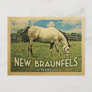 Carte Postale Nouveau Braunfels Texas Horse Farm - Vintage voyag