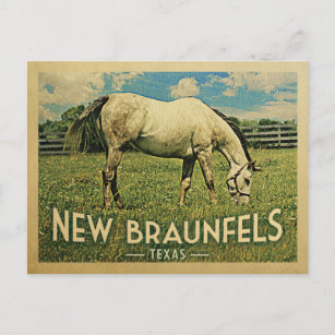 Carte Postale Nouveau Braunfels Texas Horse Farm - Vintage voyag