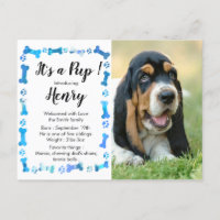 Nouveau Chien Nouveau Compagnon - Annonce Chien Ga