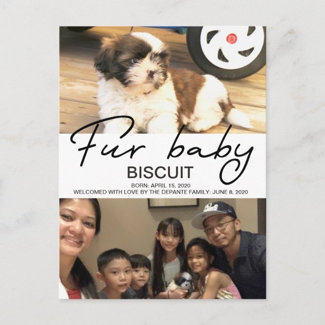 Carte Postale Nouveau Faire-part bébé fourrure de chien (Devant)