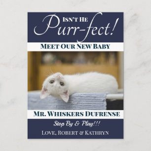 Carte Postale Nouveau Faire-part de chat "Purr-fect"