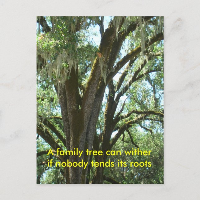 Carte postale - Nouveau membre de famille (Devant)