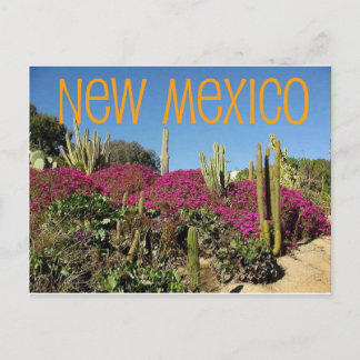 Carte Postale Nouveau-Mexique