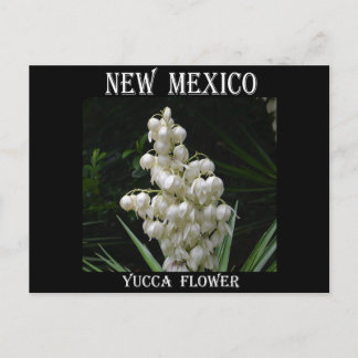 Carte Postale Nouveau-Mexique Fleur du Yucca