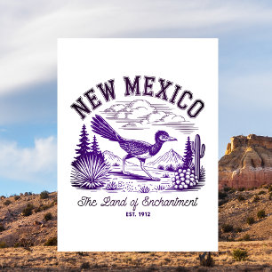 Carte Postale Nouveau-Mexique Le Pays de l'Enchantement Établ. 1