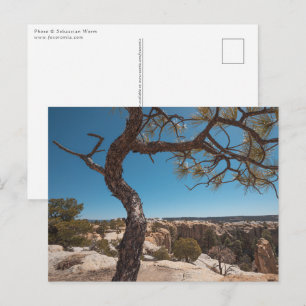 Carte Postale Nouveau-Mexique photo du paysage