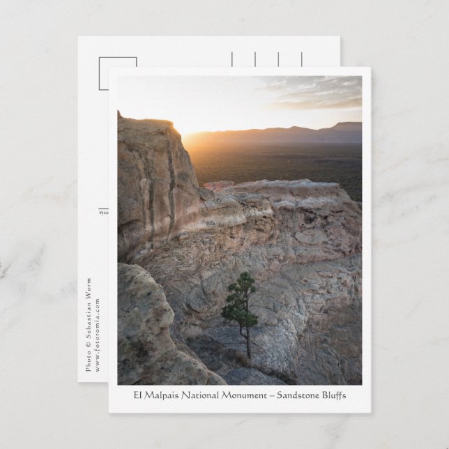 Carte Postale Nouveau-Mexique photo du paysage (Devant / Derrière)