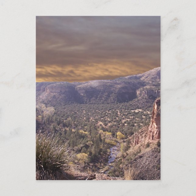 Carte Postale Nouveau-Mexique sauvage (Devant)