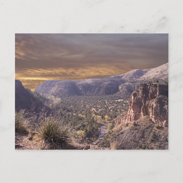Carte Postale Nouveau-Mexique sauvage (Devant)