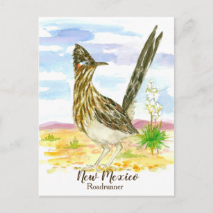 Carte Postale Nouveau-Mexique State Bird Roadrunner Yucca