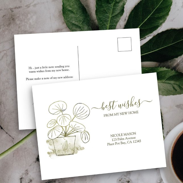 Carte Postale Nouveau Plante monétaire chinois de maison Moving  (New Address postcard with watercolor line art potted plant design)