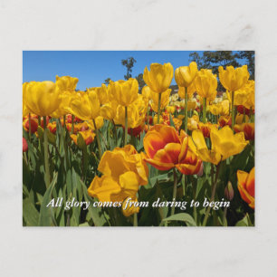Carte Postale Nouveaux Débuts Tulipes Jaunes de Printemps