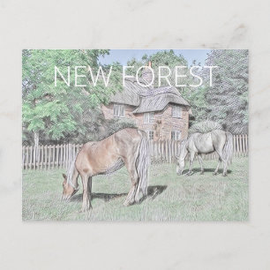 Carte Postale Nouveaux Ponts Forestiers