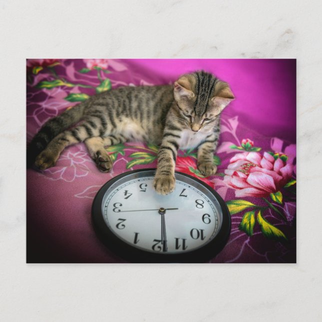 Carte Postale Nouvel An Horloge Chat 12 minuit Compte à rebours (Devant)