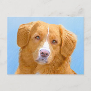 Carte Postale Nouvelle-Écosse Peinture de chien pour l'essayeur 
