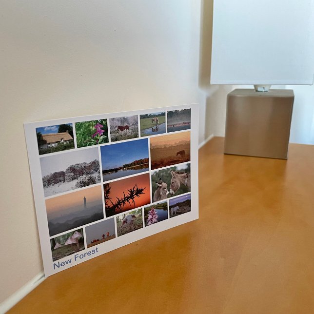 Carte Postale Nouvelle forêt multi-image 2 (Créateur téléchargé)