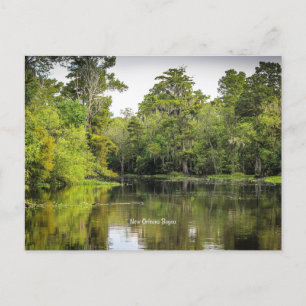 Carte Postale Nouvelle-Orléans, Louisiane, bayou,