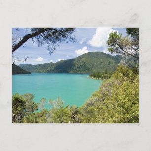 Carte Postale Nouvelle-Zélande, île du Sud, Marlborough Sounds.