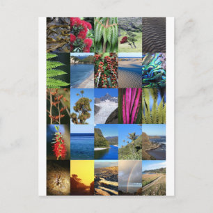 Carte Postale Nouvelle-Zélande Kiwiana paysages naturels