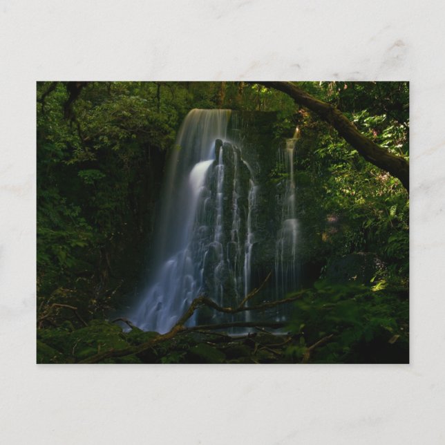 Carte Postale Nouvelle-Zélande : Matai Falls (Devant)
