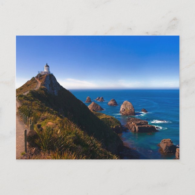 Carte Postale Nouvelle-Zélande : Point Nugget (Devant)
