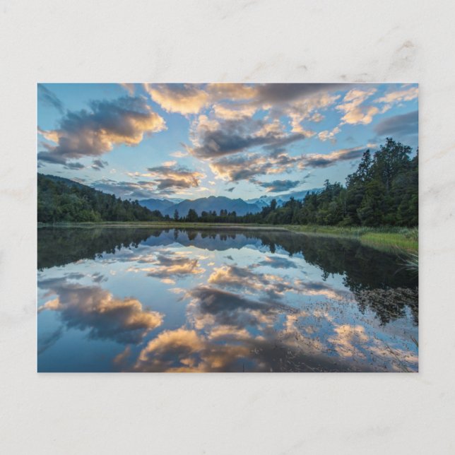 Carte Postale Nouvelle-Zélande, South Island, Westland National (Devant)