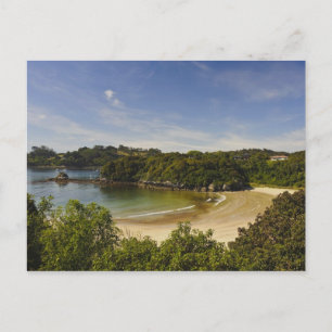 Carte Postale Nouvelle-Zélande, Southland, Stewart Island, Halfm