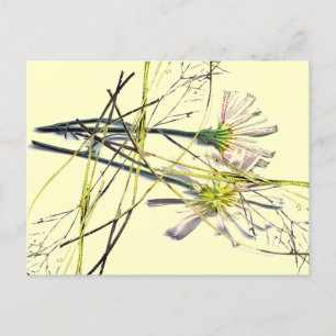 CARTE POSTALE NOUVELLES CONCEPTIONS VINTAGES