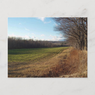 Carte Postale November Field II