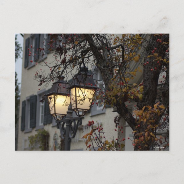 Carte Postale novembre (Devant)