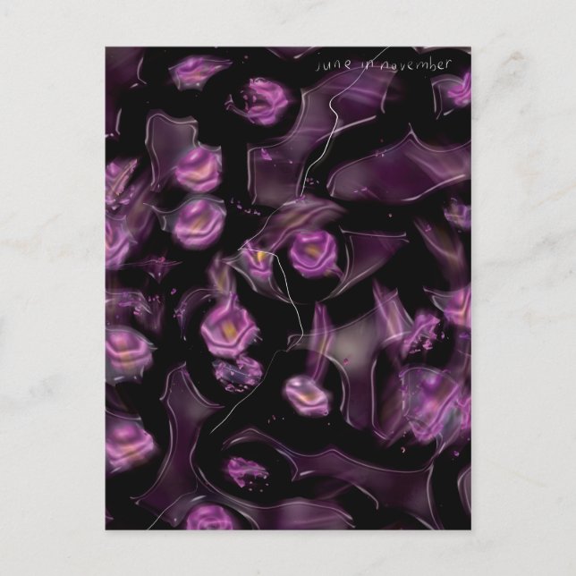 Carte Postale novembre (Devant)