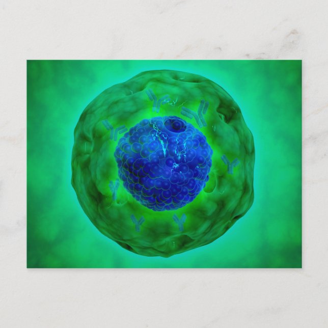 Carte Postale Noyau Cellulaire Avec Chromosome 1 (Devant)