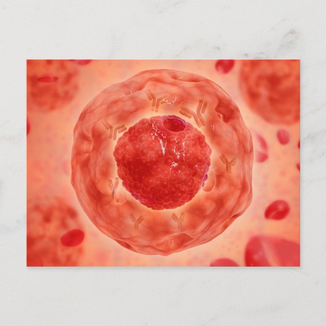Carte Postale Noyau Cellulaire Avec Chromosome 2 (Devant)