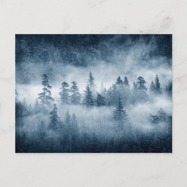 Carte Postale Nuages de forêt pluviale dans le Pacifique Nord-Ou (Devant)