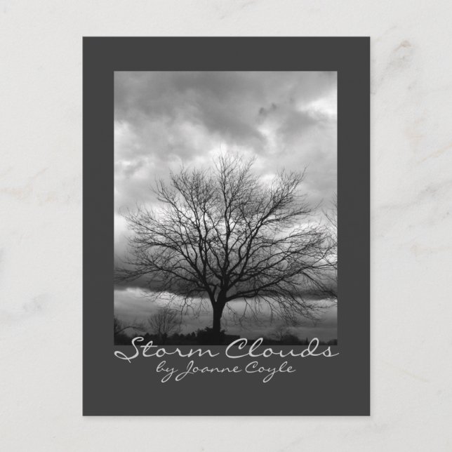 Carte postale - 'Nuages de tempête' de Joanne Coyl (Devant)
