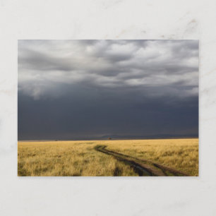 Carte Postale Nuages d'orage et route à travers les plaines gaze