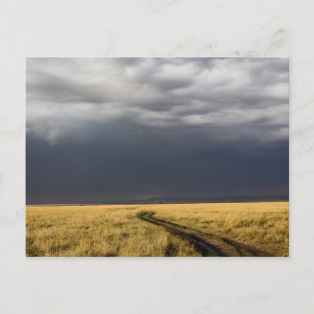 Carte Postale Nuages d'orage et route à travers les plaines gaze (Devant)