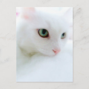 Carte Postale Nuages doux