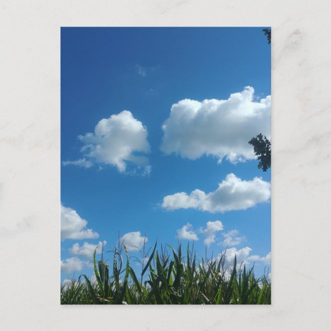 Carte Postale Nuages Et Ciel Bleu (Devant)