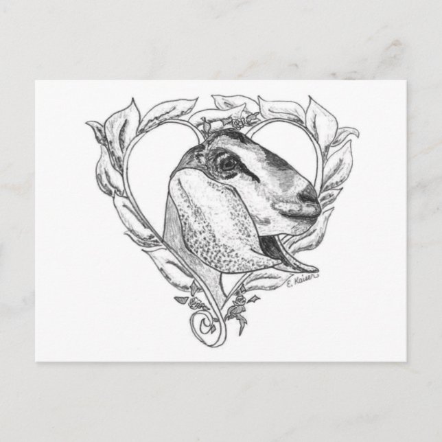 Carte Postale Nubian Head in Heart (Devant)