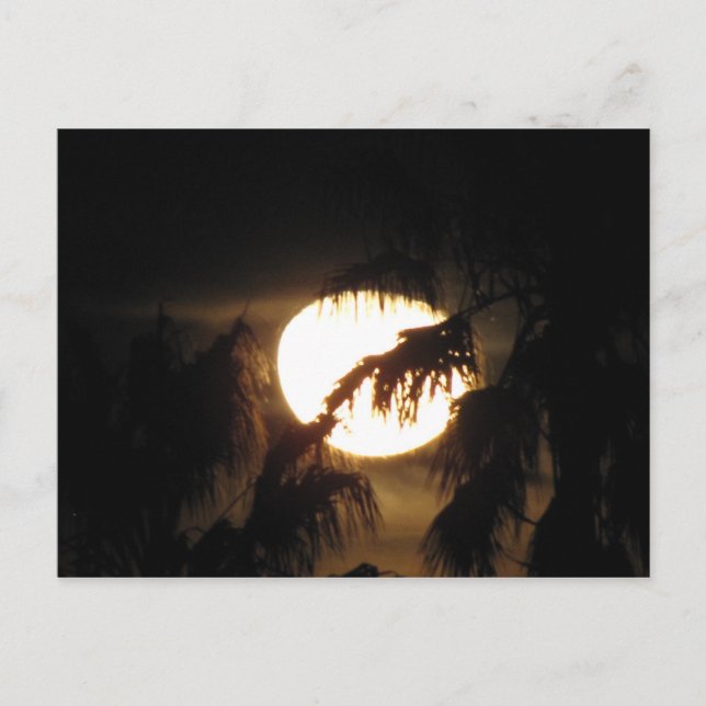 Carte Postale nuit (Devant)