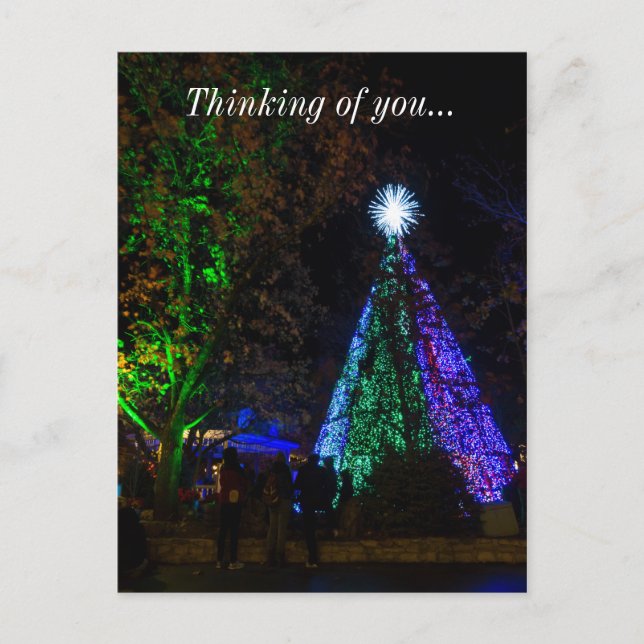 Carte Postale Nuit Arbre Sdc De 5 Étages (Devant)