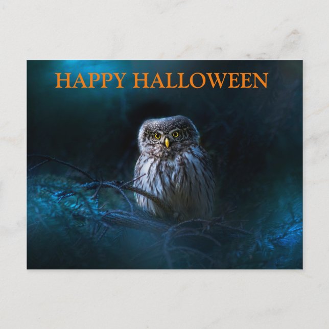 Carte Postale Nuit d'Halloween effrayant avec les hibou (Devant)