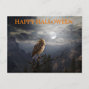 Carte Postale Nuit d'Halloween effrayant avec les hibou