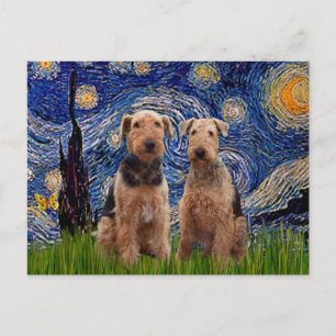 Carte Postale Nuit étoilée - Airedale Terriers (deux)