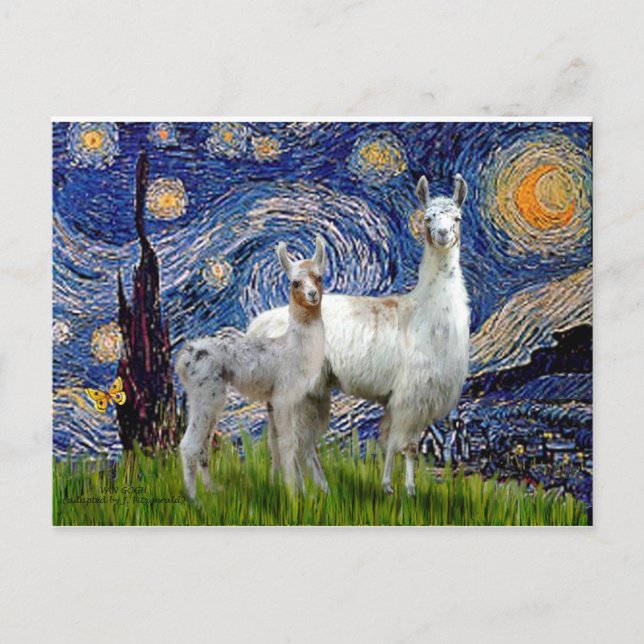 Carte Postale Nuit étoilée avec deux lamas (Devant)