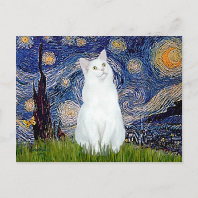 Carte Postale Nuit étoilée - Chat blanc (Devant)