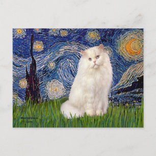 Carte Postale Nuit étoilée - chat perse blanc