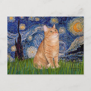 Carte Postale Nuit étoilée - Chat tigré orange 46