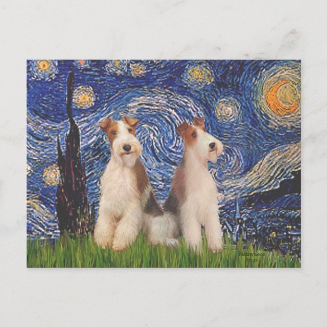 Carte Postale Nuit étoilée - Deux terriers de Fox à poil dur (Devant)